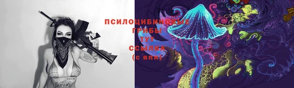 марки lsd Няндома