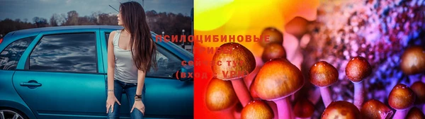 марки lsd Няндома