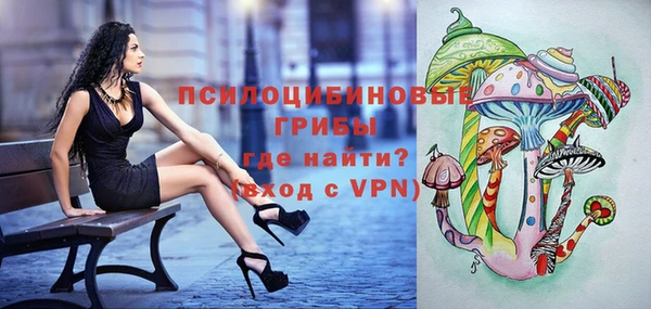 ГАЛЛЮЦИНОГЕННЫЕ ГРИБЫ Остров